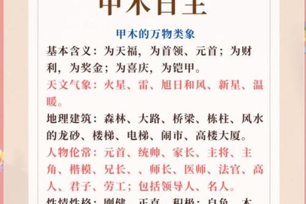 癸日的八字