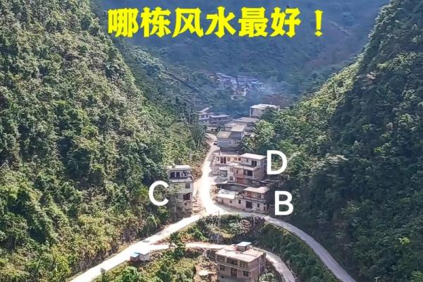 乡下风水更好的房子