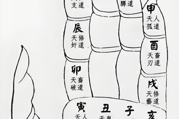 测试：食指无名指的长短决定你的一生，你的运势如何？