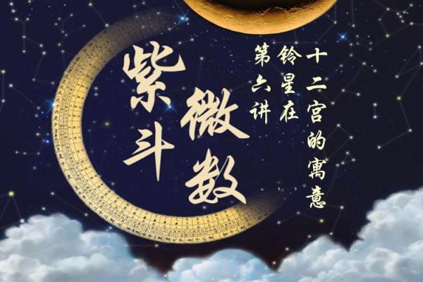 紫薇斗数文案视频的简单介绍