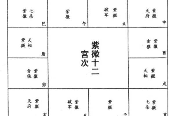 军师府紫薇斗数高级