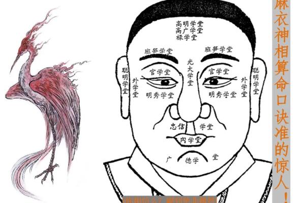 百分算命