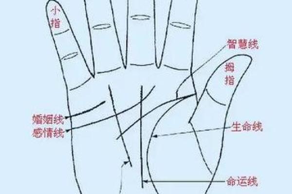 事业线和感情线连在一起的人风水好不好