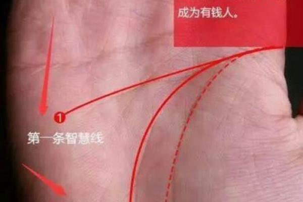 手相算命，从手相看你聪明度有多高？