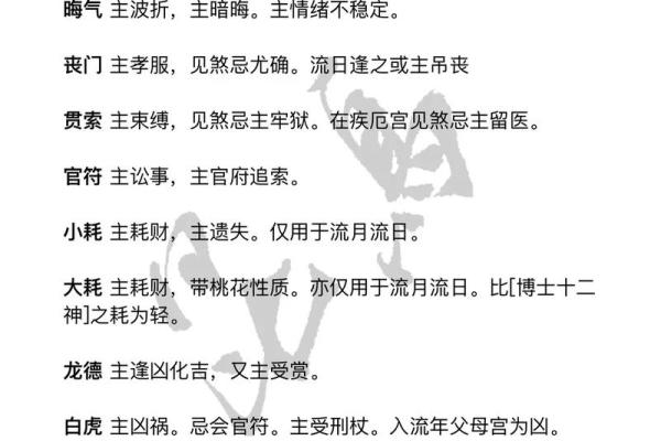 神巴巴紫薇斗数下载