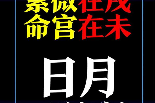 紫薇斗数将军在疾恶