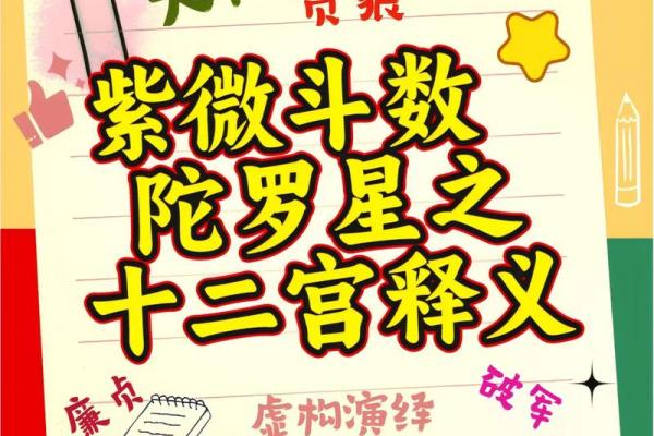 紫微斗数终极 紫微斗数解释？