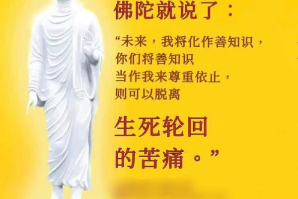 算命的命运怎么改变