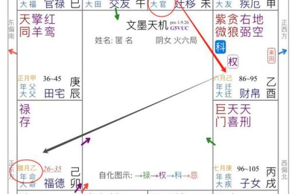 紫薇斗数流年2004