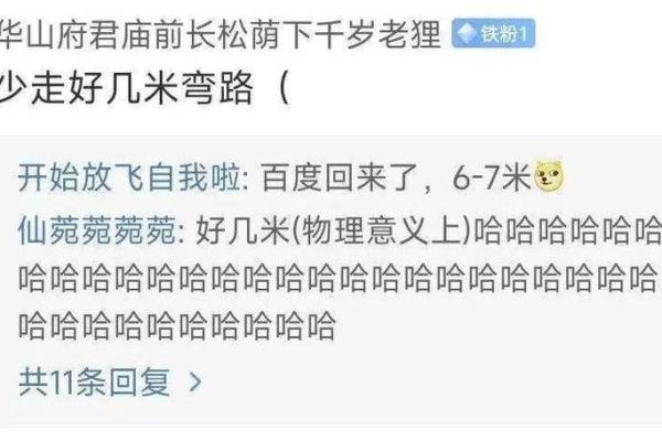 让女朋友帮我算命
