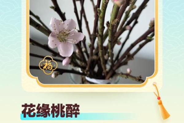 重视恋爱风水，让你桃花朵朵开