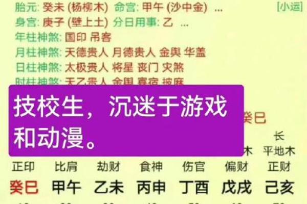 八字枭神夺食