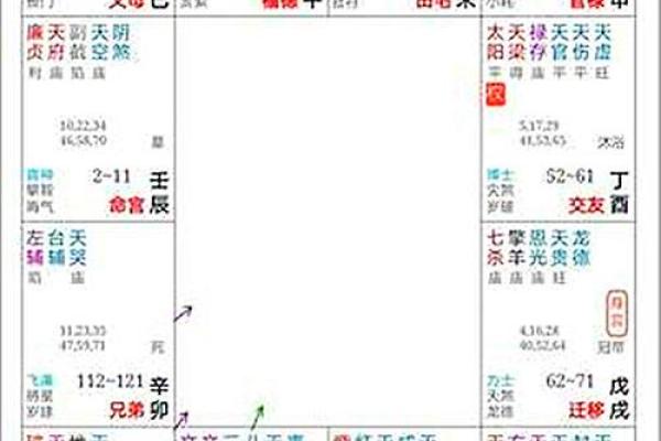 郭晶晶紫薇斗数
