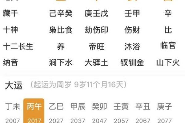 丁酉辛亥丙戍己亥八字命运