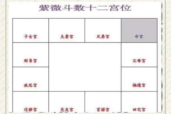 天相在命宫，紫微斗数天相星入命宫详解