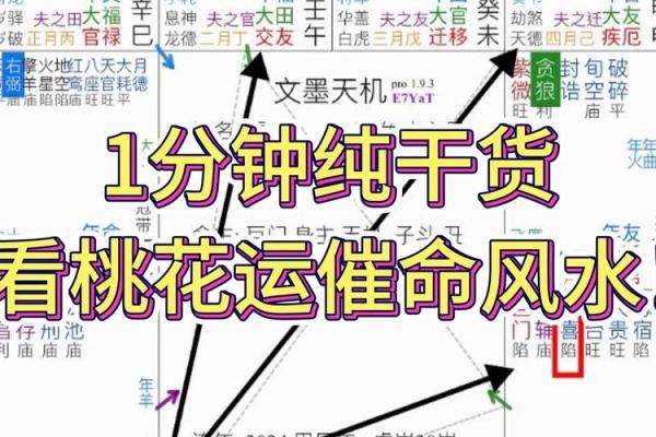 紫薇斗数看庚子年运