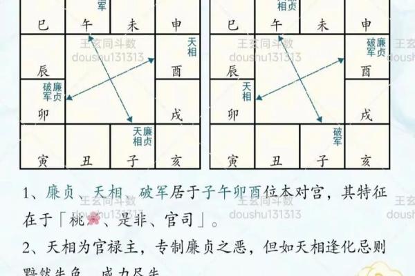 紫薇斗数旺平陷