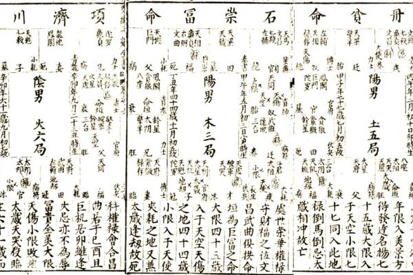 紫薇斗数流年学历