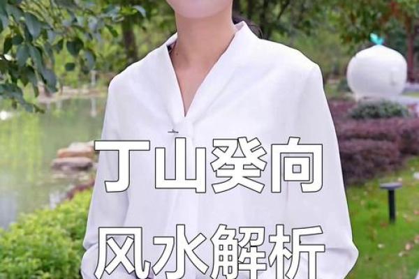 辛乙兼酉卯风水介绍 丁山兼未风水