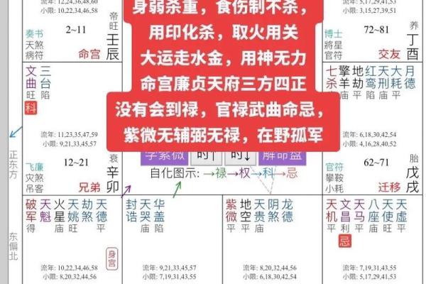 关于紫薇斗数软件安卓破解版的信息