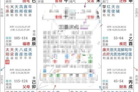 紫薇斗数 命盘是怎么看