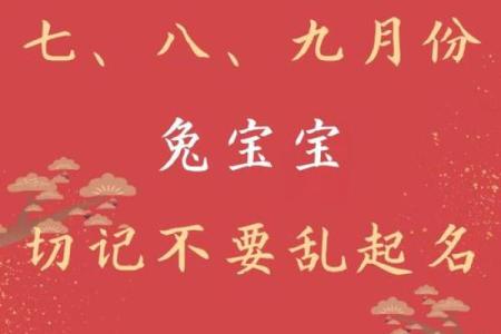 早上6点出生的属兔男孩如何取名姓名