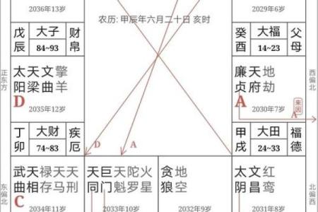 紫微斗数诸星落诸宫之：天同星夫妻宫详解