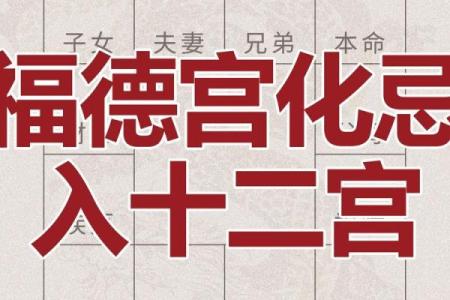 紫微斗数福德宫与财帛宫 财帛宫对宫是福德宫？