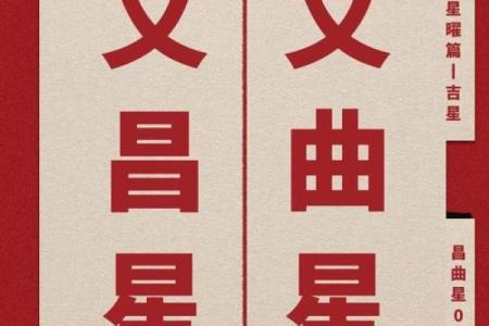 紫薇斗数文曲陷