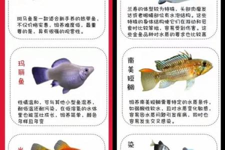 记住这些养鱼风水,会让你财源滚滚来