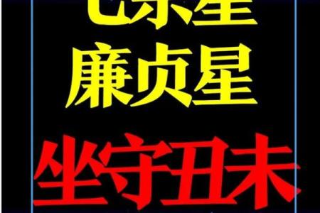 紫薇斗数推文