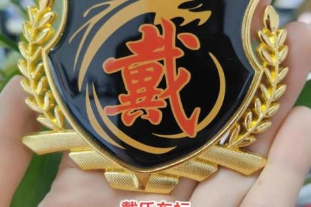 戴姓男孩名字大全-戴姓男孩起名字大全-戴姓名字大全姓名