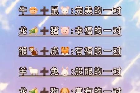 抖音姓名怎么配对 抖音姓名配对契合度测试？