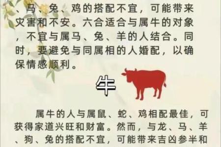 八字婚配属相查询