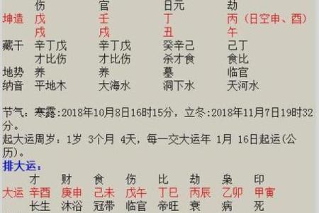 算命丁未日男命
