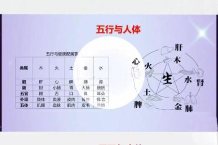 四柱八字算命速成步骤