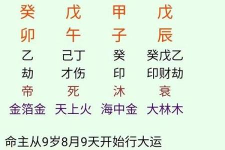 元亨八字排盘,新浪八字命盘查询