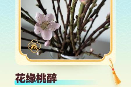 重视恋爱风水，让你桃花朵朵开