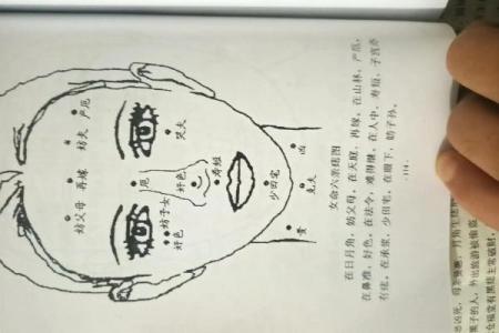 面相解析：从山根看相算命