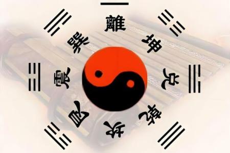邵康节算命