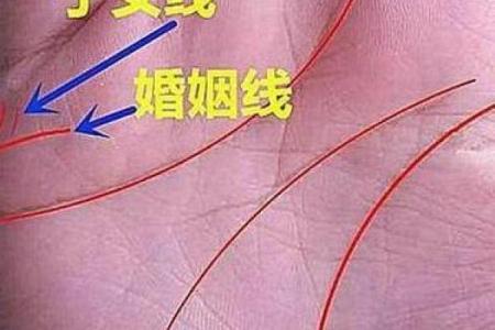 图解：手相棺材纹算命