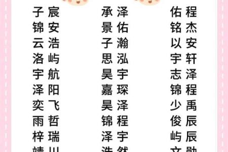 2019年3月26号辛时出生的男孩要怎么起名字姓名
