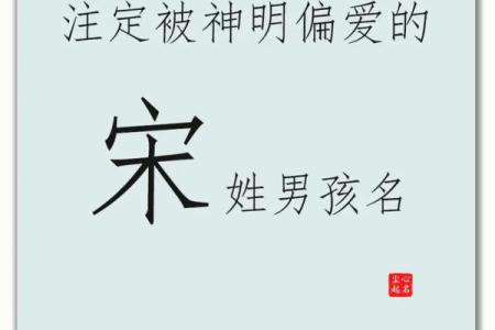 兔年男孩子起名字大全-兔年起名字姓名