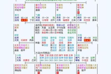 紫薇斗数看每日流盘