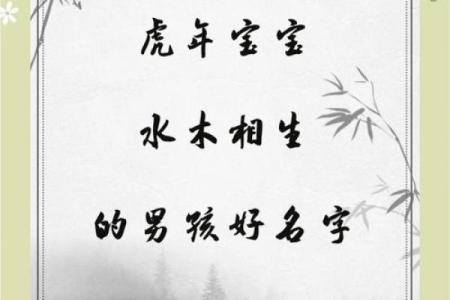 2019年6月10号寅时出生的男孩起名时要注意什么姓名