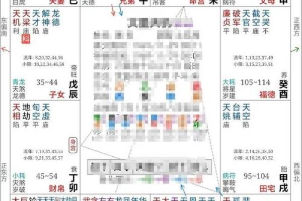 猪猪紫微斗数 紫微斗数在线排盘免费解析？