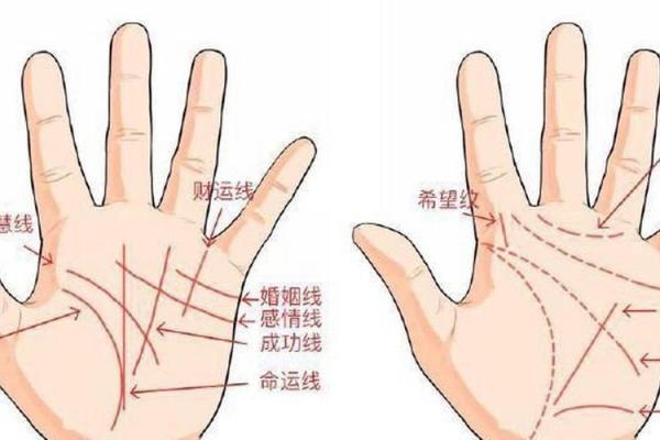 手相指纹算命图解