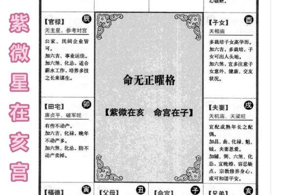 紫薇斗数古本