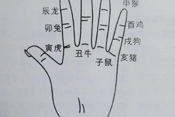 一掌经算命实例