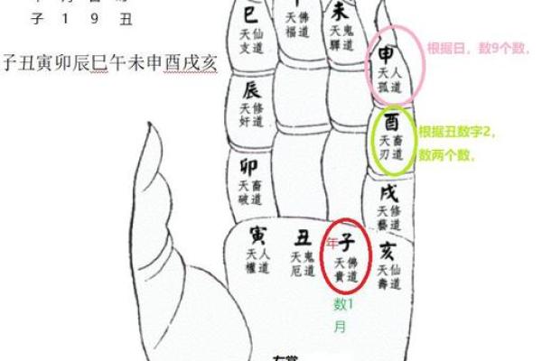 一掌经算命实例